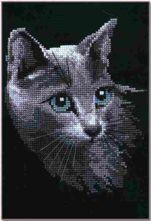 Серый котенок (Риолис)